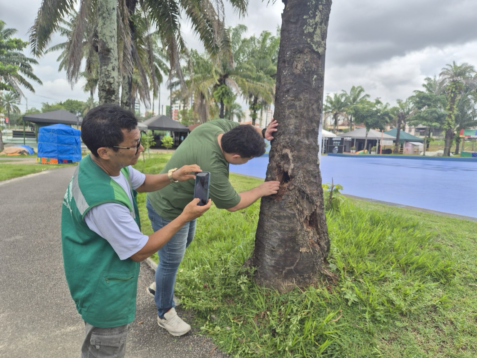 Prefeitura de Manaus realiza manutenção da arborização no CSU do Parque 10 e inicia plantio de 2 mil mudas no local