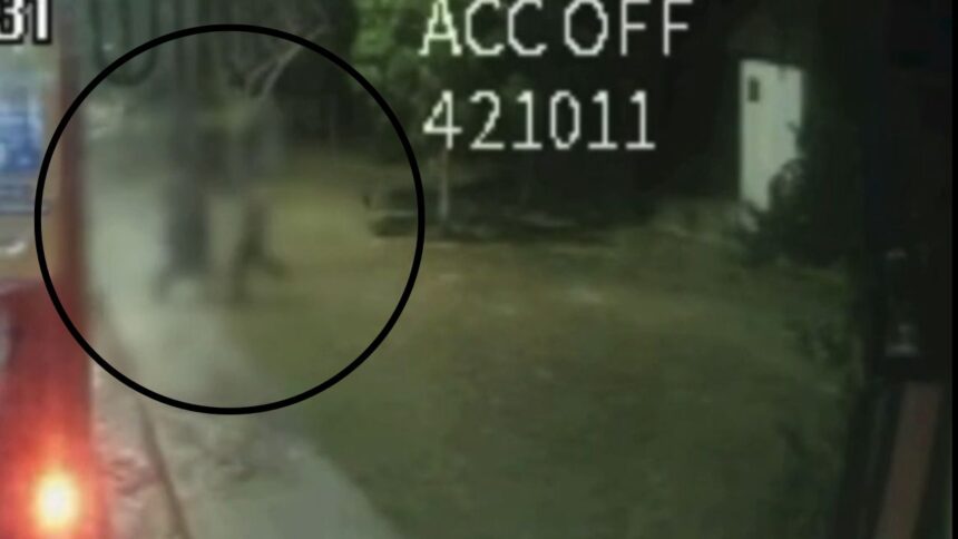 Vídeo mostra momento em que motorista mata colega a facadas em Manaus; ele foi preso